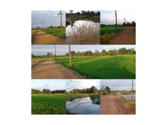 ที่ดินบรรยากาศดีๆติดคลอง วิวทุ่งสวยๆ เนื้อที่ 8 ไร่ หน้ากว้างติดทางประมาณ 45 เมตร