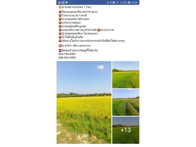 นครนายก 2-0-0 ขมย 1.7 ลบ.ที่นาติดถนน คสล. วิวเขา