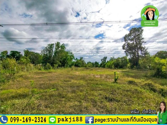 ที่ดินติดถนนแจ้งสนิท 2 ไร่กว่า  บ้านเสียม ต.หัวดอน อ.เขื่องใน/อุบลฯ