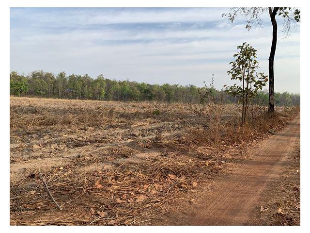 ขายที่ดินยกแปลง อ.บ้านม่วง จ.สกลนคร จำนวน 14 ไร่ 2 งาน 83 ตร.ว. (เป็นที่มีโฉนด)