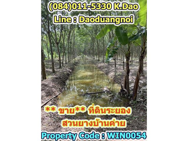 ขายที่ดิน โฉนด 7-0-55.6 ไร่ (2,855.6 ตรว.)  บ้านค่าย หมู่ 3 ใกล้สี่แยกบางบุตร สวนยางพร้อมกรีด + อายุต้นยาง 10 ปี * ขายไร