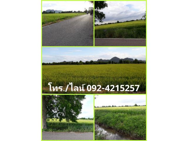 ขายที่นา ติดถนนลาดยาง วิวภูเขาสวย ใกล้ถนนเพชรเกษม อ.ปากท่อ จ.ราชบุรี