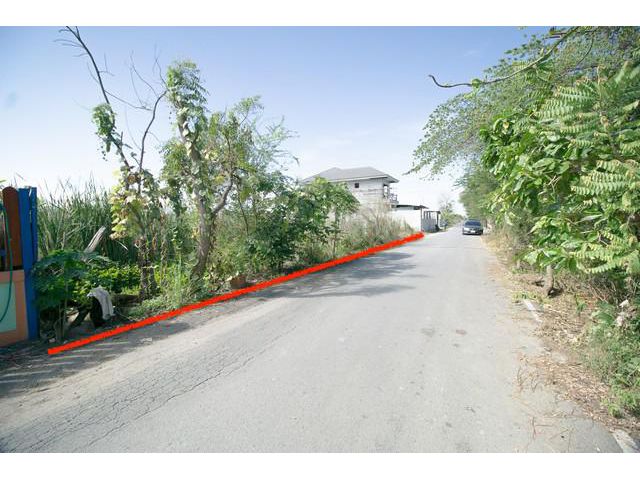 ขาย ที่ดิน ซ.บงกช 8 คลองสอง คลองหลวง ปทุมธานี