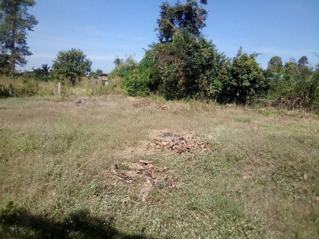 ที่ดินเหมาะสร้างบ้าน