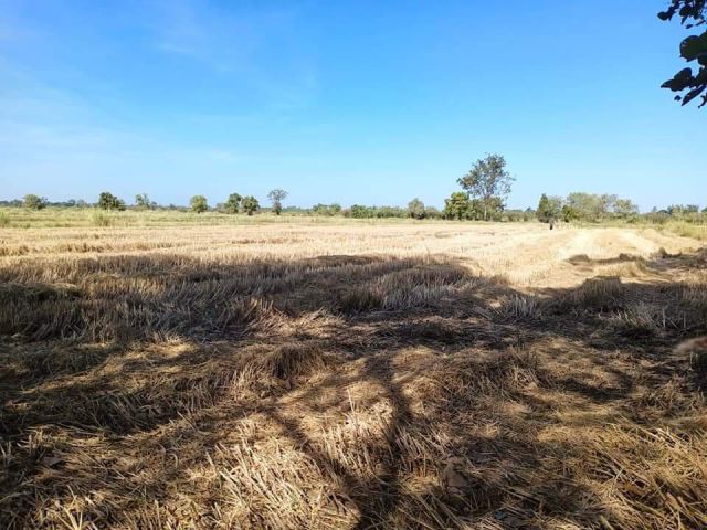 ที่นาบ้านกว้าง/ต.เขื่องคำ