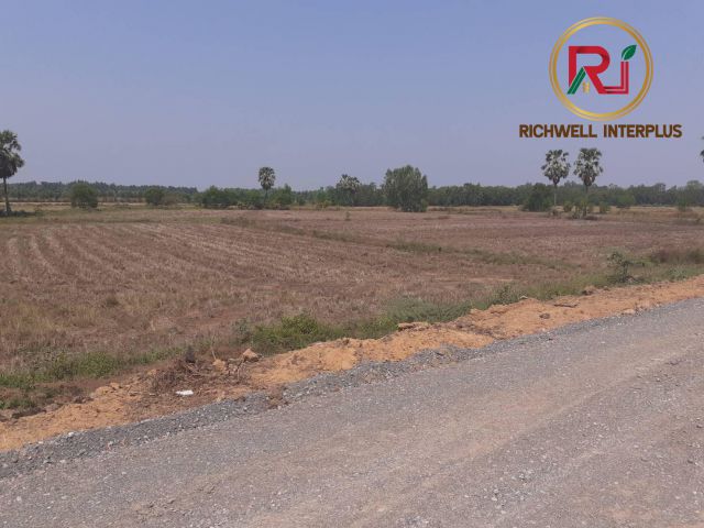 ขายที่ดิน 12 ไร่ ราคาถูก หน้ากว้าง 160 เมตร ถนนทางหลวง 319 เหมาะทำปั๊มน้ำมัน จ.ปราจีนบุรี
