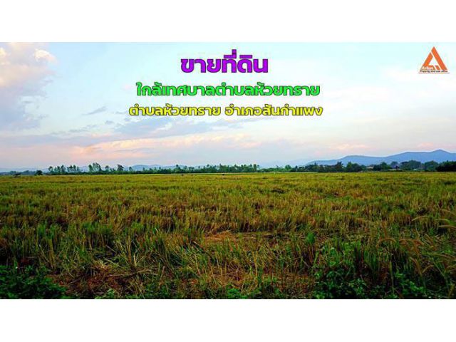 ขายที่ดิน ใกล้เทศบาลตำบลห้วยทราย ตำบลห้วยทราย อำเภอสันกำแพง จังหวัดเชียงใหม่