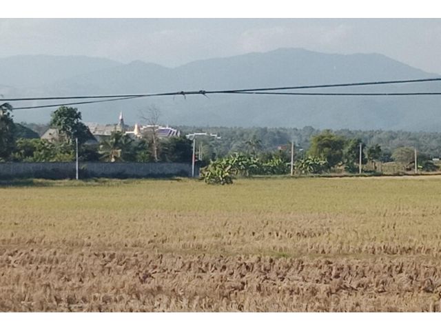 ที่นาเมืองแกน