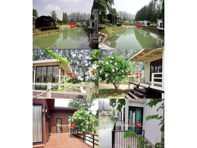 ขายให้เช่า รีสอร์ท รายวัน รายเดือน Resort LakePine วิวเขาใหญ่อากาศธรรมชาติ นครราชสีมา ปากช่อง ขนงพระ