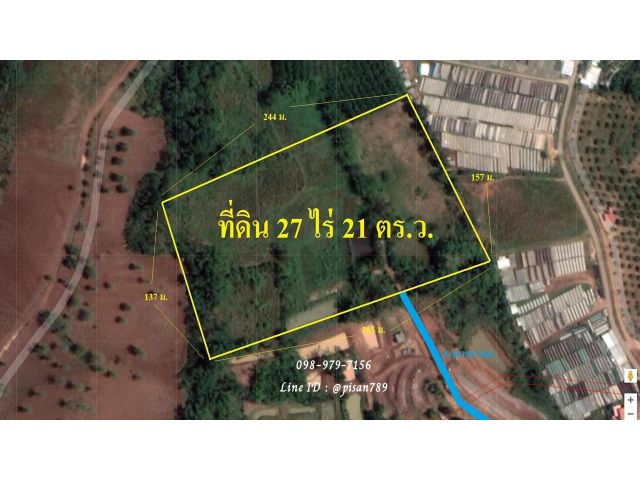 P105 ขายที่ดินเป็นเนินสโลปลงที่ราบ  27 ไร่ 21 ตารางวา เขาค้อ เพชรบูรณ์ ใกล้โรงเรียน