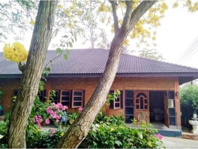 House for sale (outside the project, rice field view, good atmosphere)