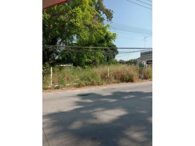 ขายด่วนมาก!!ที่ดินบ้านปึกติดถนนมิตรสัมพันธ์ซอย8 พื้นที่ 115 ตรว. ขายเหมา 3.8 ล้าน ต.บ้านปึก อ.เมือง จ.ชลบุรี