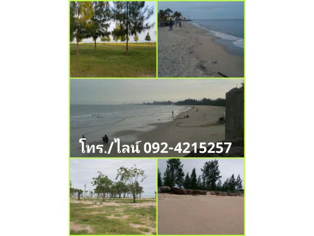 ขายที่ดินชายหาดปึกเตียน จ.เพชรบุรี