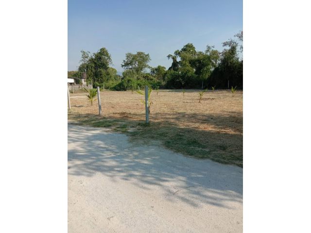 ขายที่ดินเสม็ดใกล้ถนนอ่างศิลา 201ตรว.เหมา3 ล้าน ต.บ้านเสม็ด อ.เมือง จ.ชลบุรี