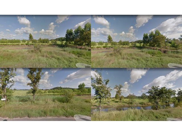 ขายที่ดินเปล่า ที่ดินสวย นครสวรรค์ หนองบัว หนองกลับ 80ไร่