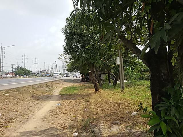 ขายที่ดินมีนบุรี ติดถนนสุวินทวงศ์ 110 เมตร  เนื้อที่ 16 ไร่  ขายไร่ละ 14 ล้าน