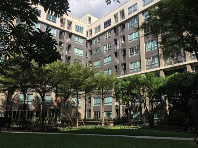 ขาย D condo  ดีคอนโด แคมปัสรีสอร์ท ราชพฤกษ์ จรัญฯ