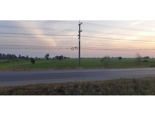 ขายที่ดิน ที่นา บางซ้าย อยุธยา 19-1-62 ไร่