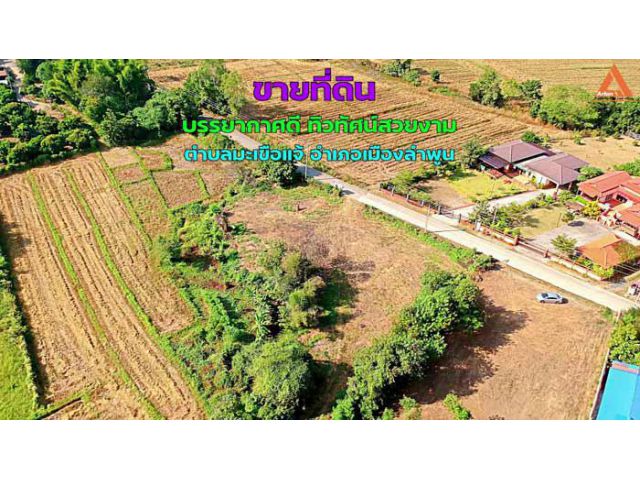 ขายที่ดิน บรรยากาศดี ทิวทัศน์สวยงาม ตำบลมะเขือแจ้ อำเภอเมืองลำพูน จังหวัดลำพูน
