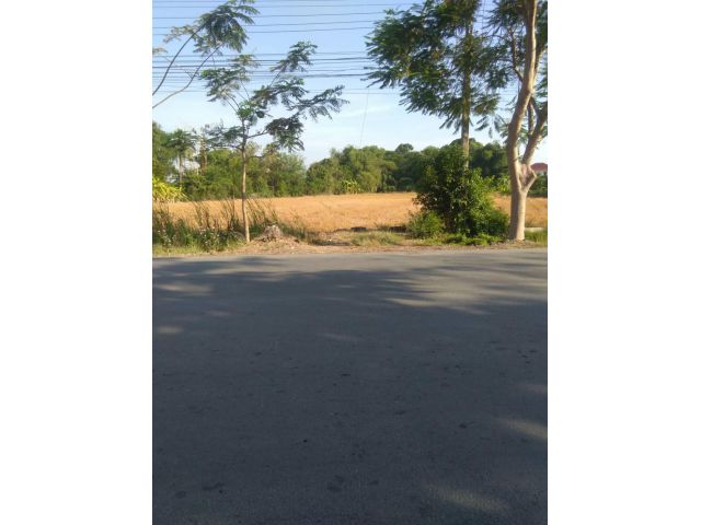 ขายที่ดินคลองสิบ หนองจอก แปลงสวย  เนื้อที่ 5 ไร่  ติดถนนกว้าง-ติดคลองใหญ่ !! ไฟสามเฟส ราคาโควิด !!! 3 ล้านต่อไร่