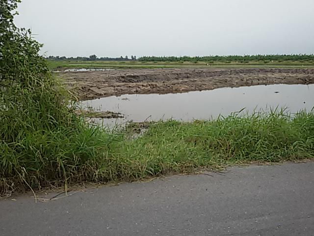 ขายที่ดินหนองจอก ใกล้ สน. ลำหิน  9-1-39 ไร่  ไร่ละ 1.7 ล้าน