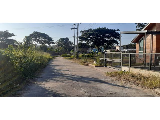 ขายที่ดินแม่ริม บ้านหนองอาบช้าง ใกล้ถนนหลวง(107)  340ม. เนื้อที่ 63 ตร.ว.ราคา 630,000