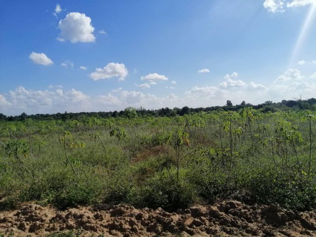 ขายที่ดิน 13-2-36  ไร่ ตำบลบ้านโพธิ์ อำเภอเมือง จังหวัดนครราชสีมา