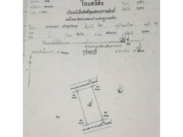 ขายที่ดิน เปล่า ปรับพื้นที่แล้ว ติดถนนอำเภอปะทิว จังหวัดชุมพร