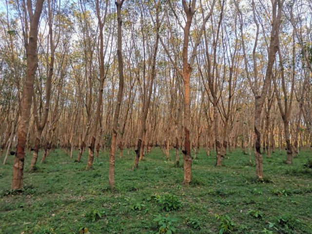 ที่กลางเมือง ราคาถูก