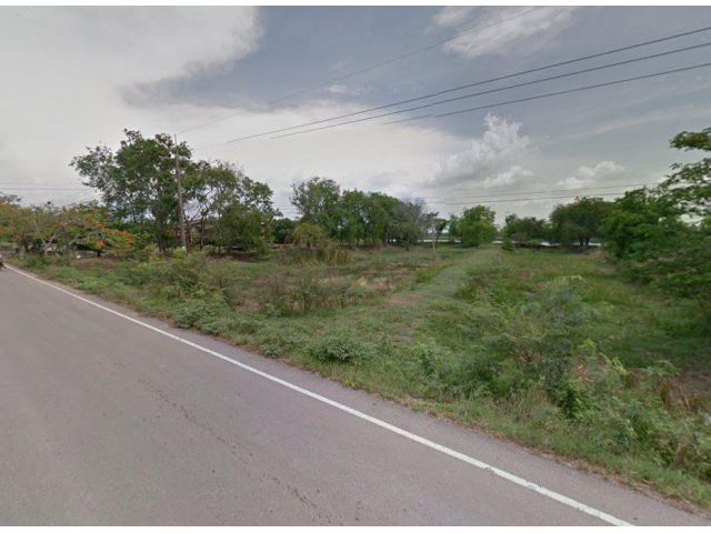 ขายที่ดินติดแม่น้ำบางปะกง 4 ไร่ ติดถนนลาดยาง อ.บางคล้า จ.ฉะเชิงเทรา
