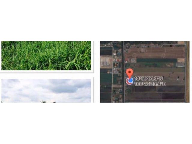 PP824 ขายที่ดิน371ตรว ลำลูกกาคลอง5(ตอ) มี2แปลงติดกัน 4,200000