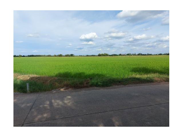 ขายที่ดิน ต.บางบัวทอง  จ.นนทบุรี  13 ไร่  ติดถนน ติดคลองใหญ่  พิเศษช่วงโควิด !!  ขายเพียงไร่ละ 1.7 ล้าน