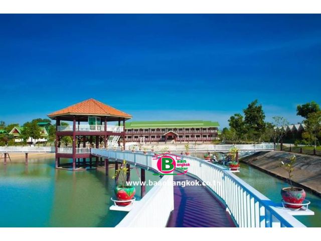 ที่ดินพร้อมกิจการ 39-2-25 ไร่ จ.มุกดาหาร ติดถนนชยางกูร ไฟฟ้า-ประปา-โทรศัพท์ เชื่อมต่อภายในอาคารเเล้ว