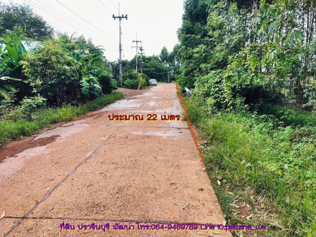 ️ขายที่แปลงเล็กๆ ที่ในหมู่บ้าน ที่ไม่ต้องถม ที่ติดถนนคอนกรีต ห่างถนน3079 ประมาณ 1 กม. เนื้อที่ 2 งาน