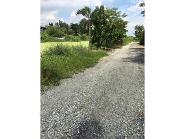 ขายที่ดิน 4 ไร่ ถนนร่มเกล้า 19/4 ลาดกระบัง