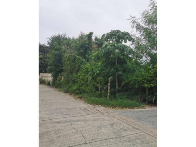 ​ขายด่วนที่ดินเปล่าดอนเมืองถนนกำแพงเพชร 6 ซ.7 แยก3-8