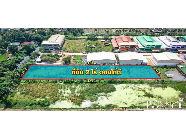 ขายที่ 2 ไร่ ในราคาต่ำกว่าตลาด ย่านดอนไก่ สะดวกบนถนนสายใยรัก คลองมะเดื่อ(กม.12) และเศรษฐกิจ
