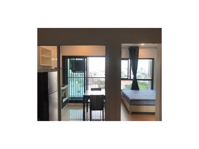 Condo The Tree Sukhumvit71-Ekkamai ชั้น19
