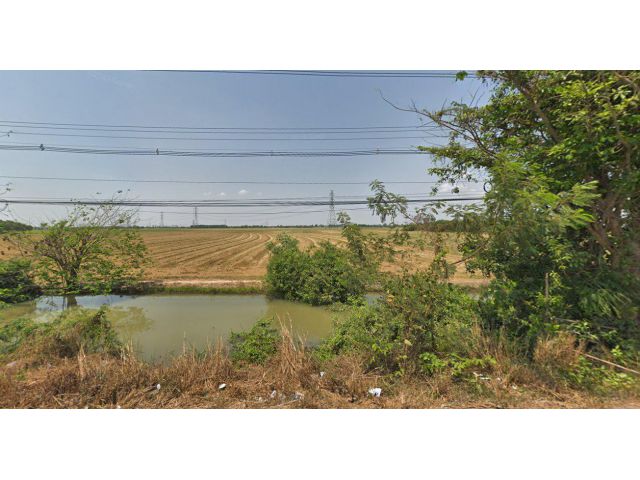 ขายที่ดิน 33 ไร่ ราคาไร่ละ 3.5 ล้านบาท ติดถ.เส้น ฉะเชิงเทรา-กบิทร์บุรี (304) อ.พนมสารคาม จ.ฉะเชิงเทรา