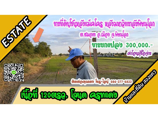 ขายที่ดิน หลังมหาวิทยาลัยพิษณุโลก 120ตรว. ต.สมอแข อ.เมือง พิษณุโลก ขาย 3แสนบาท