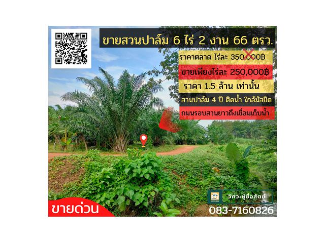ขายสวนปาล์มสตูล 6 ไร่ 2 งาน 66 ตรว.  1.5 ล้าน ติดคลอง ใกล้มัสยิด เจ้าของขายเองด่วน