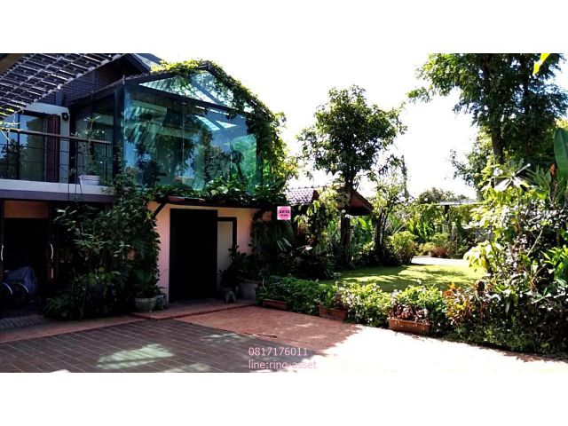 ขายบ้านเดี่ยวเมืองทอง แจ้งวัฒนะ ขนาด 218 ตรว. พร้อม สระว่ายน้ำ Single House for Sell