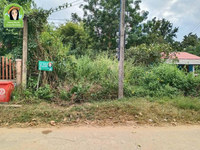 ที่ดินสร้างบ้านหนองนางตุ้ม/ยโสธร ราคา 300,000 บาท