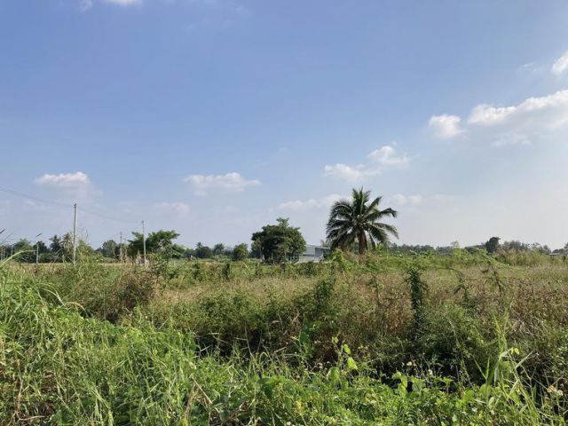 ขายที่ดิน อำเภอสันทราย จังหวัดเชียงใหม่