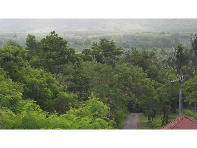 ขายที่ดิน สะพลี ปะทิว ชุมพร เนื้อที่ 46.8 ตร.ว.