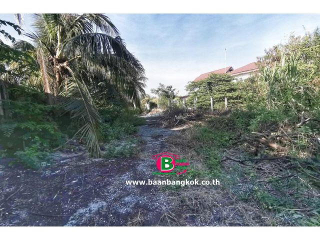 ที่ดินถมแล้ว ตรงข้ามปั้มปตท.บ้านใหญ่ วังน้อย เนื้อที่ 150 ตรว. ถ.พหลโยธิน-วังน้อย-สระบุรี จ.อยุธยา