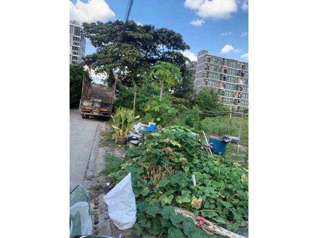 ขายที่ดิน 400 ตรว. ถนนแจ้งวัฒนะ ซอยแจ้งวัฒนะ10