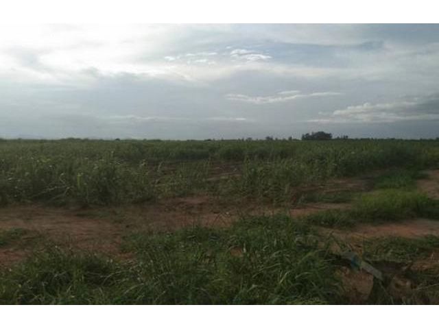 ขายที่ดินแปลงนี้ 16 ไร่ ไร่ละ 500,000บาท อ.หัวหิน