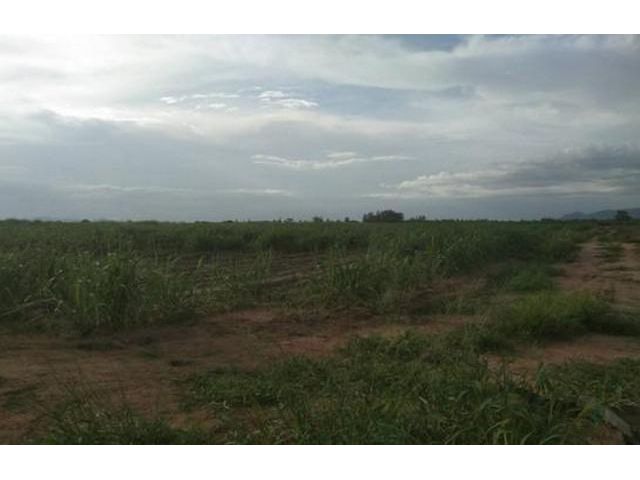 ขายที่ดิน อ.หัวหิน 13 ไร่ ไร่ละ 5 แสนบาท