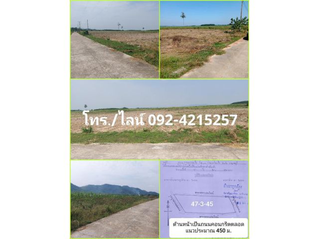 ขายที่ดิน นส.3 ก. ราคาถูกมาก อ.ด่านมะขามเตี้ย กาญจนบุรี